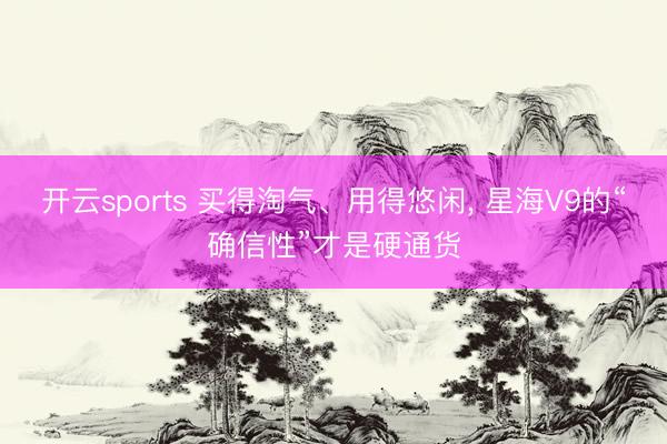 开云sports 买得淘气、用得悠闲, 星海V9的“确信性”才是硬通货