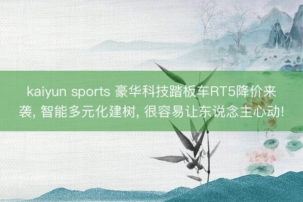 kaiyun sports 豪华科技踏板车RT5降价来袭, 智能多元化建树, 很容易让东说念主心动!