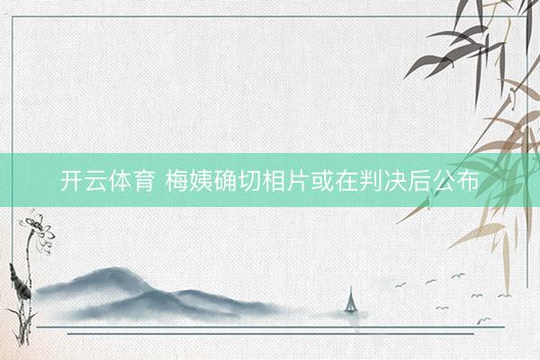 开云体育 梅姨确切相片或在判决后公布