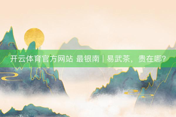 开云体育官方网站 最银南 | 易武茶，贵在哪？